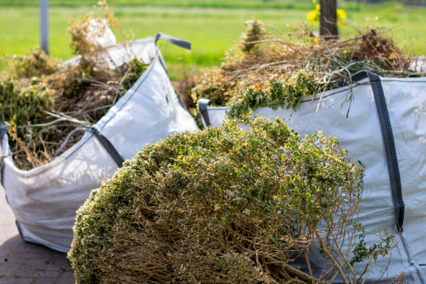Trusted Globe, AZ Junk Removal Experts